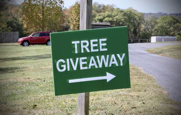 Tree Giveaway